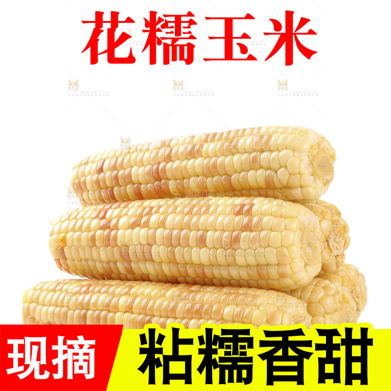 白底上的花糯玉米