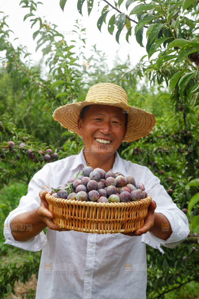 手里拿着红脆脱骨李