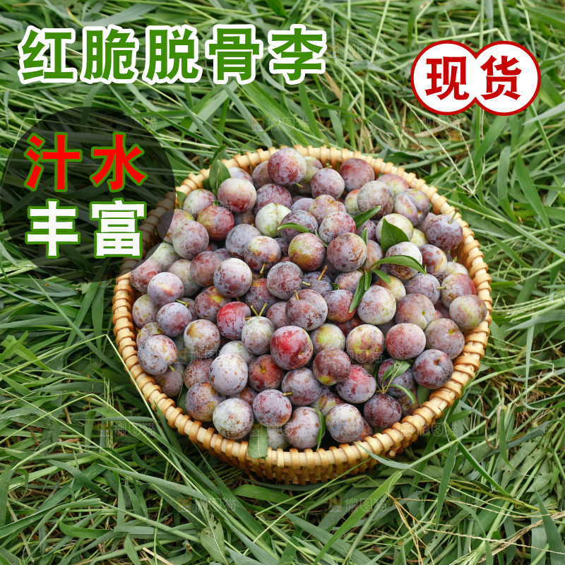 地上的现摘红脆李