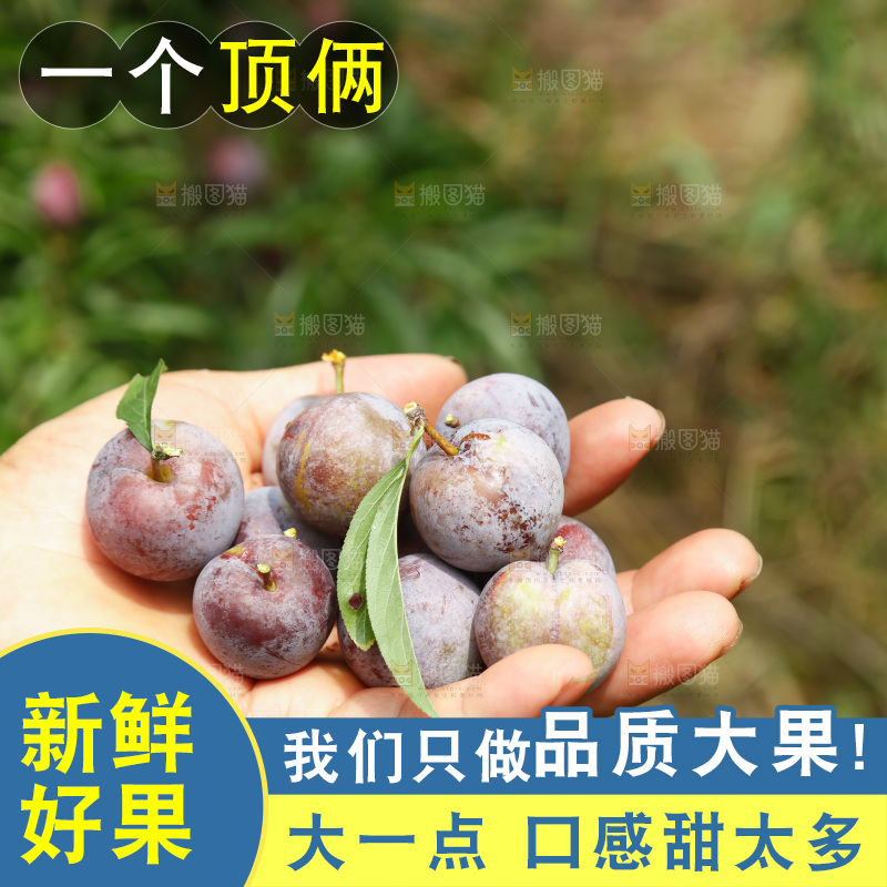 手里拿着红脆脱骨李