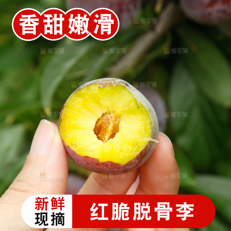 树上的新鲜红脆李