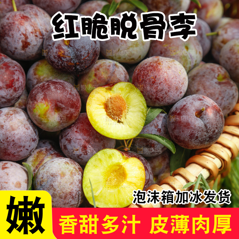 地上的现摘红脆李