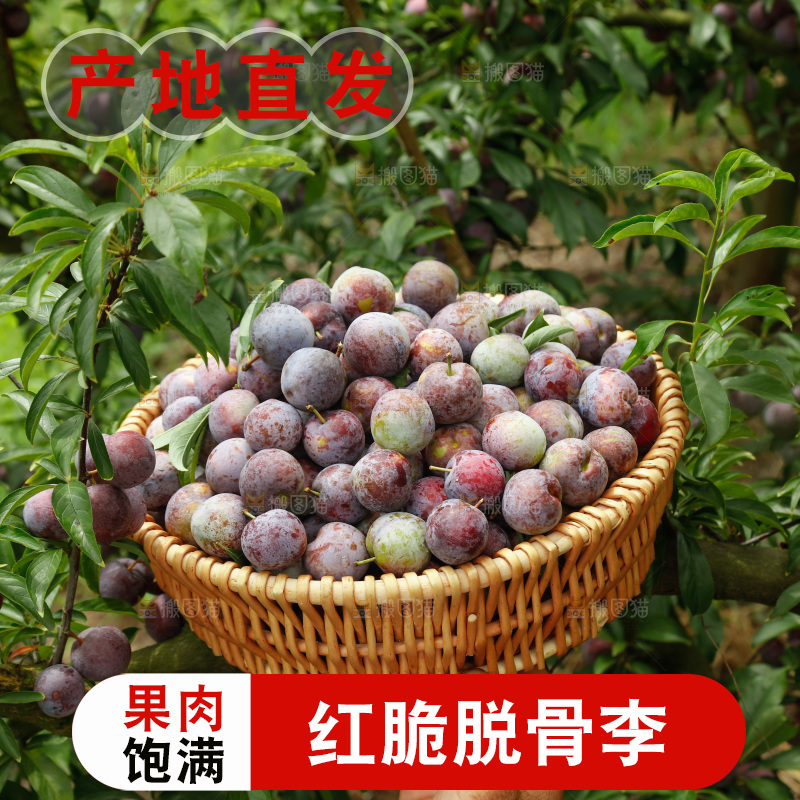 手里拿着红脆脱骨李