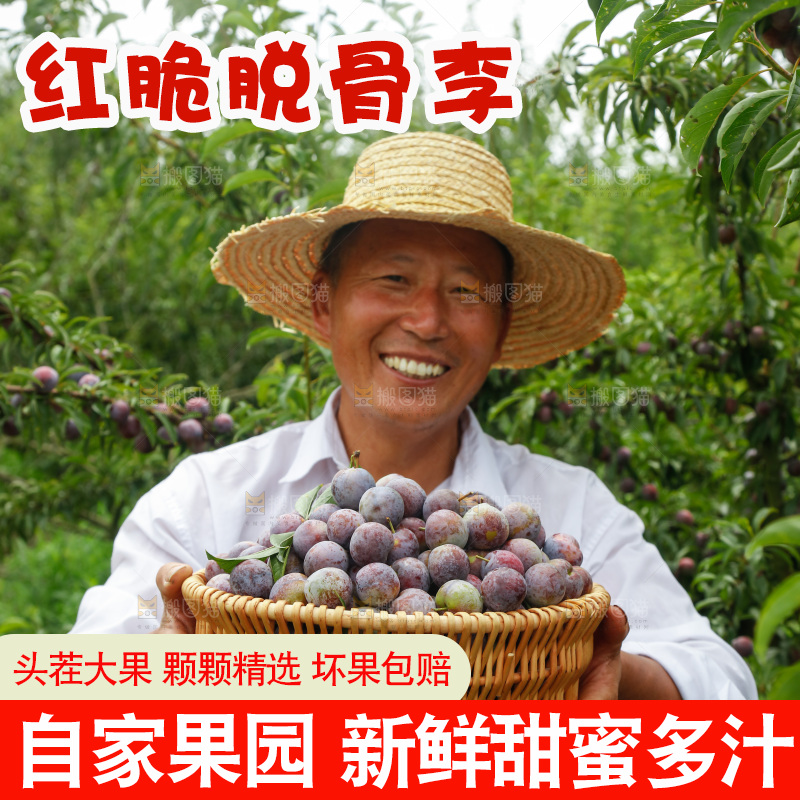 手里拿着红脆脱骨李