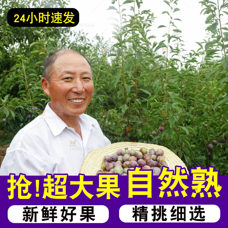 手里拿着红脆脱骨李