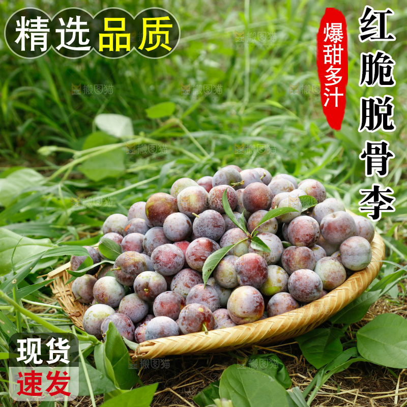 地上的现摘红脆李
