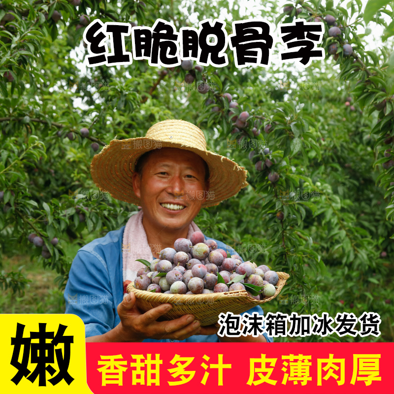 手里拿着红脆脱骨李