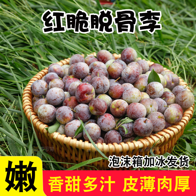 地上的现摘红脆李