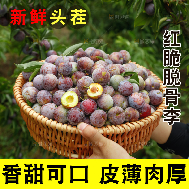 手里拿着红脆脱骨李
