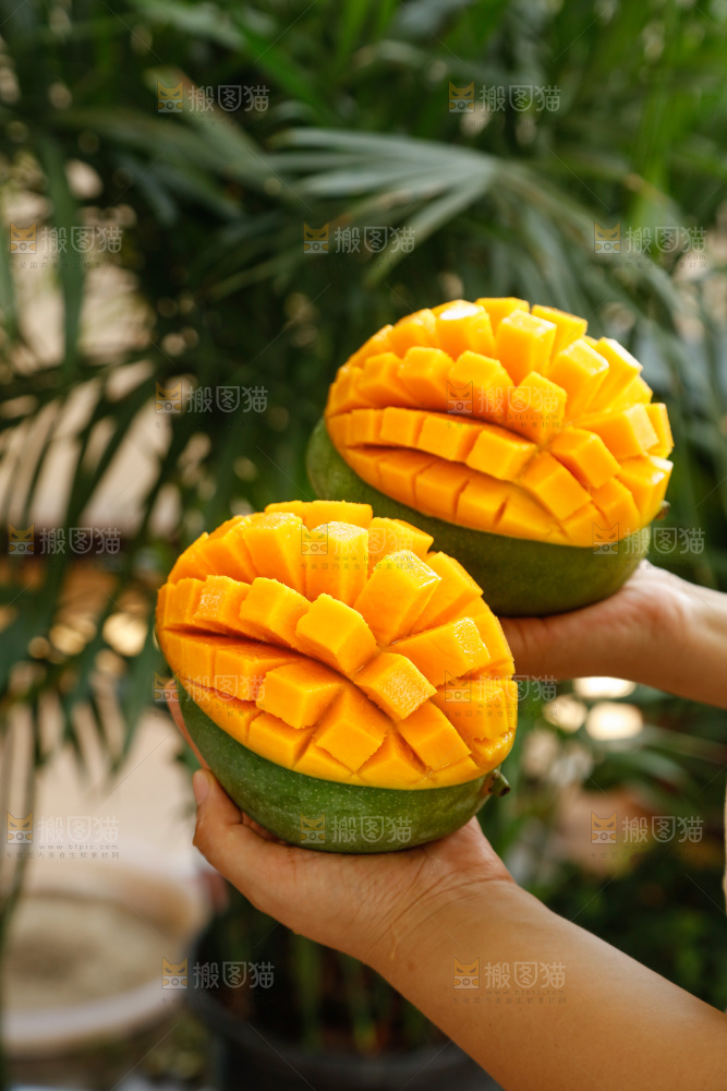 手里拿着凯特芒