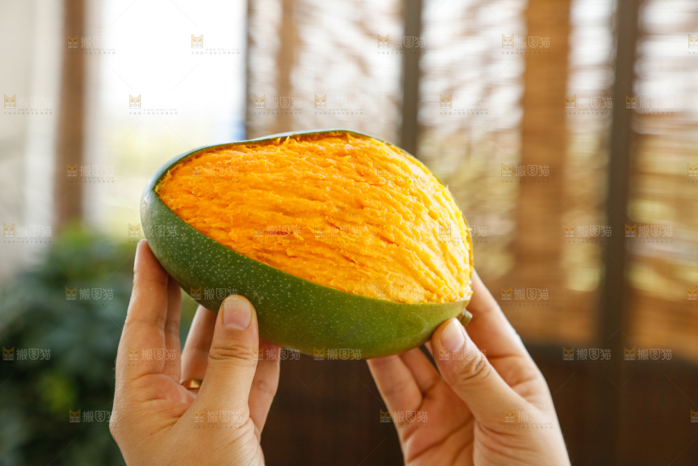 手里拿着凯特芒