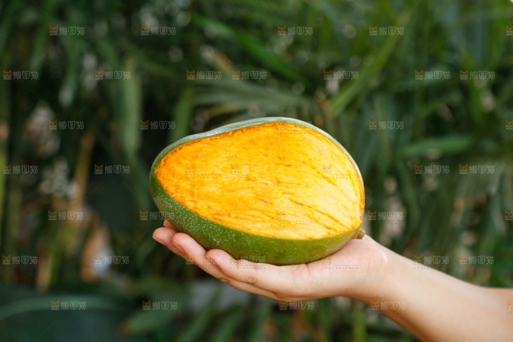 手里拿着凯特芒