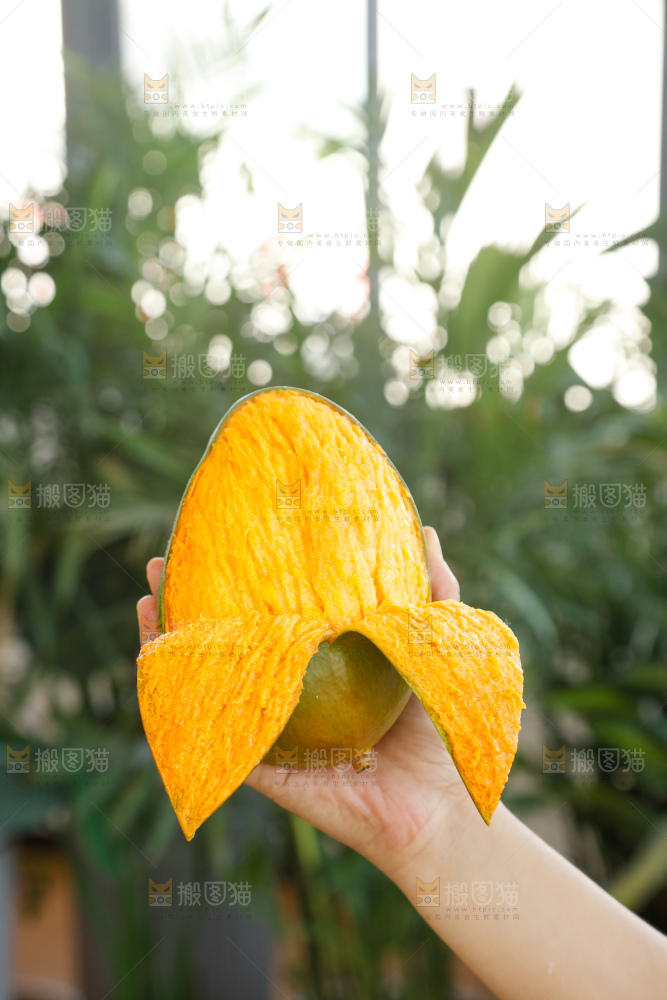 手里拿着凯特芒