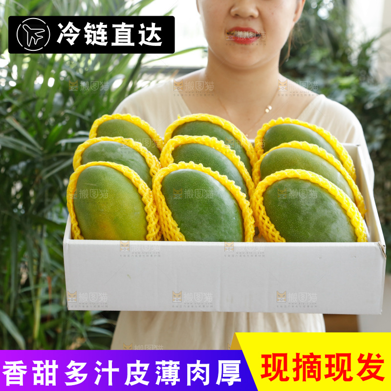 手里拿着一箱凯特芒