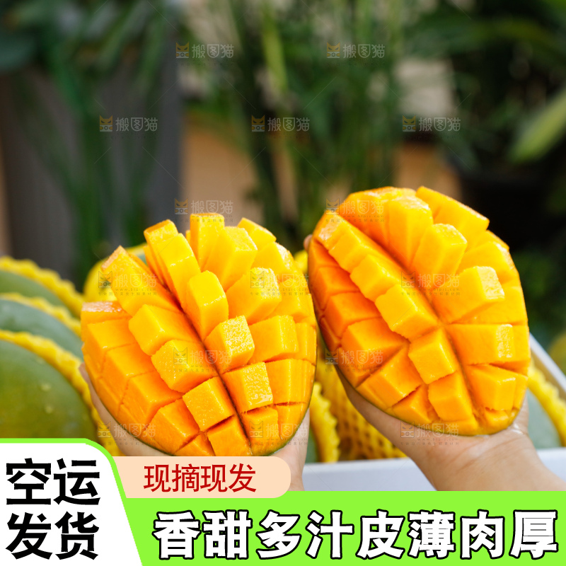 手里拿着一箱凯特芒