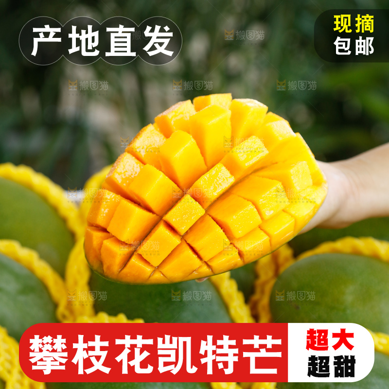 手里拿着一箱凯特芒