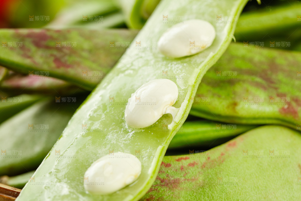 深底上的油豆角