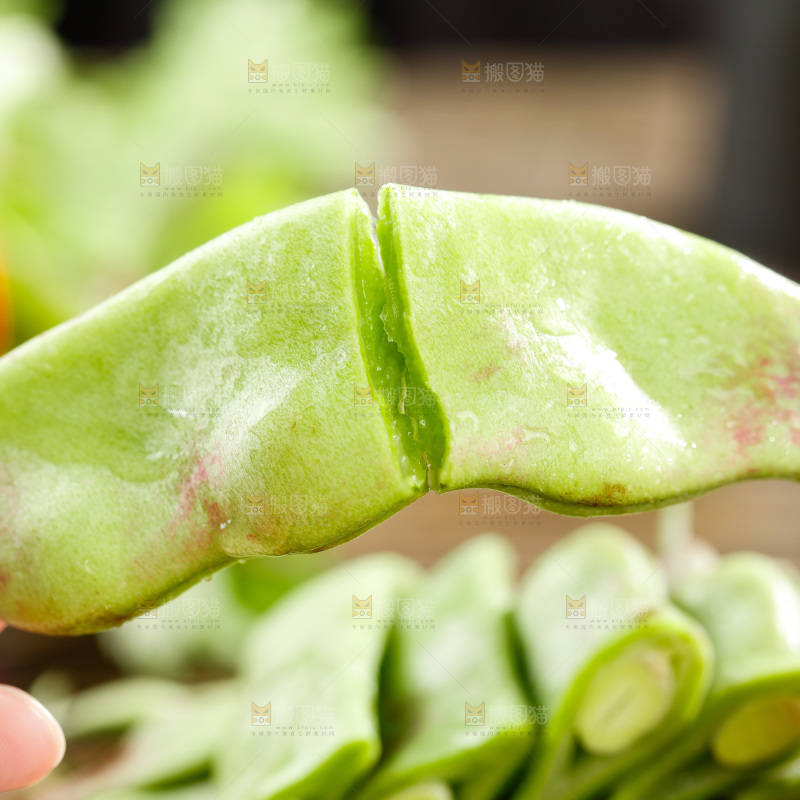 深底上的油豆角