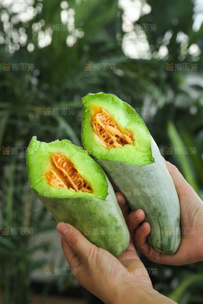 手里拿着羊角蜜甜瓜