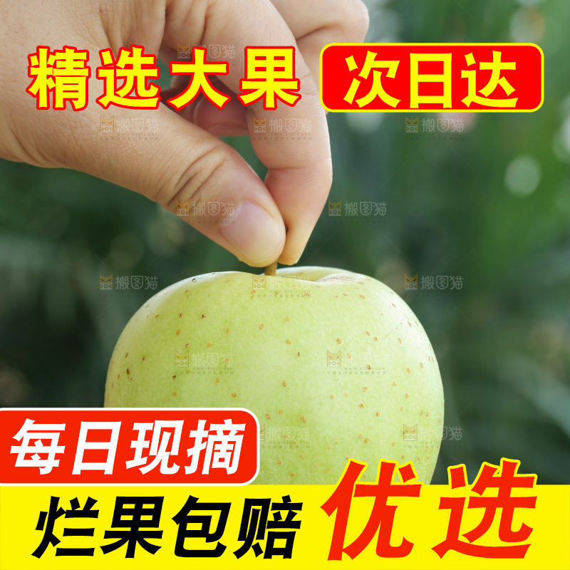 手里拿着金帅青苹果