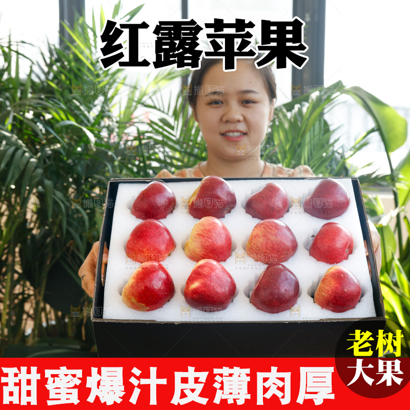 手里拿着红露苹果