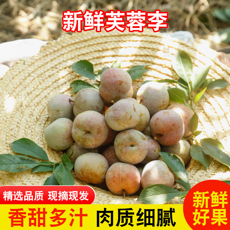 地上放着的现摘芙蓉李