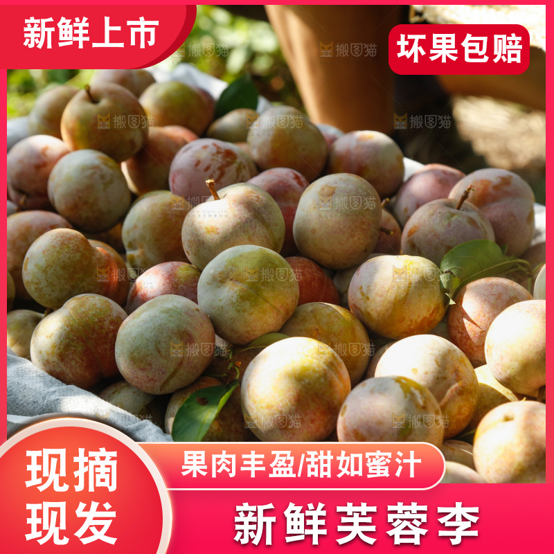 地上放着的现摘芙蓉李