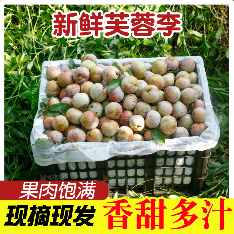 地上放着的现摘芙蓉李
