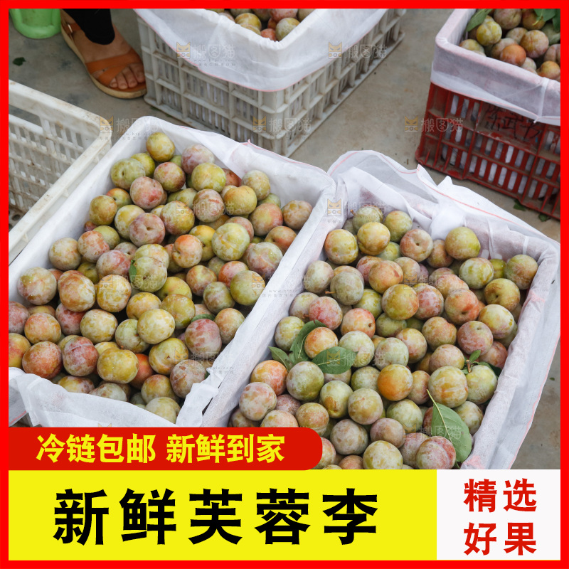 地上放着的现摘芙蓉李