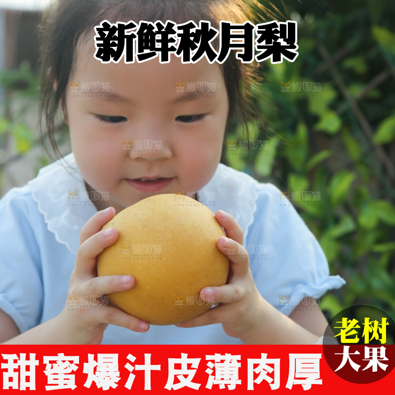 手里拿着秋月梨