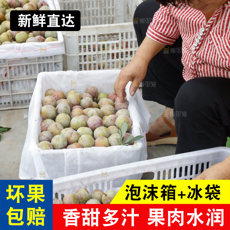 地上放着的现摘芙蓉李