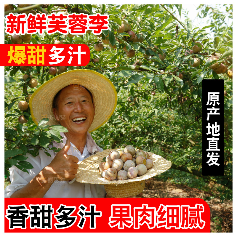 手里拿着芙蓉李