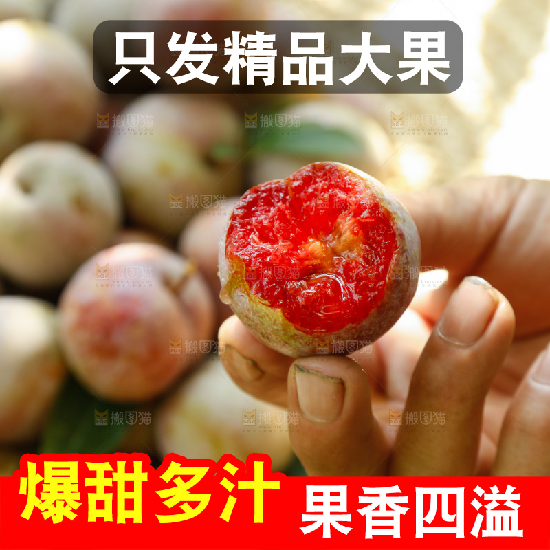手里拿着芙蓉李