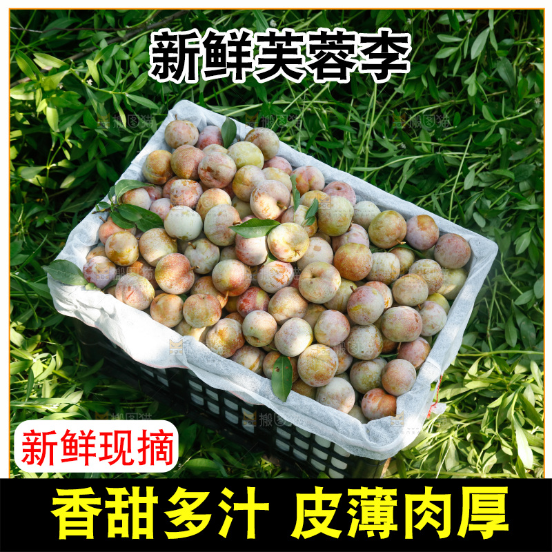 地上放着的现摘芙蓉李