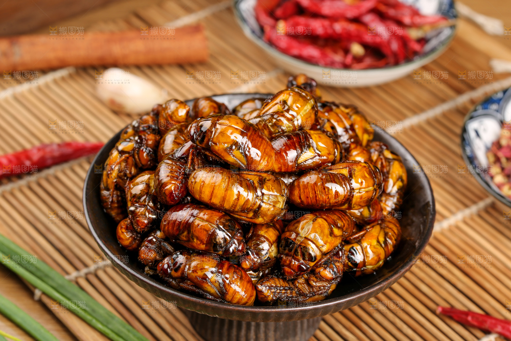 木底上的炸知了猴