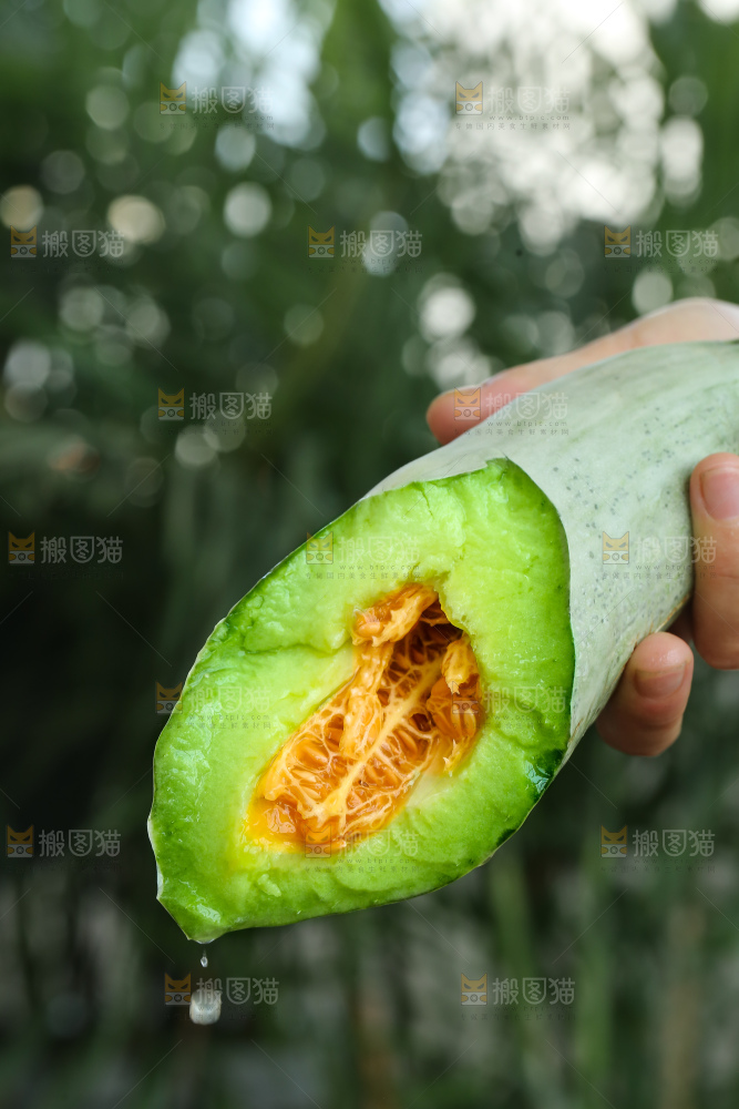 手里拿着羊角蜜甜瓜