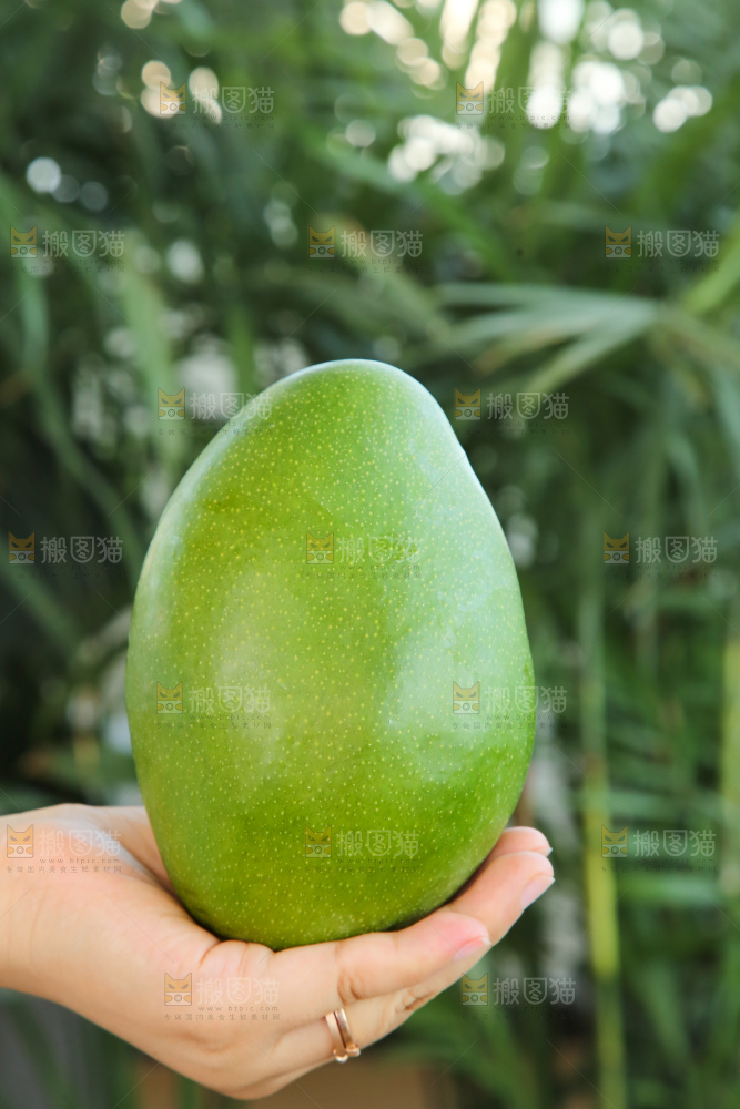 手里拿着凯特芒