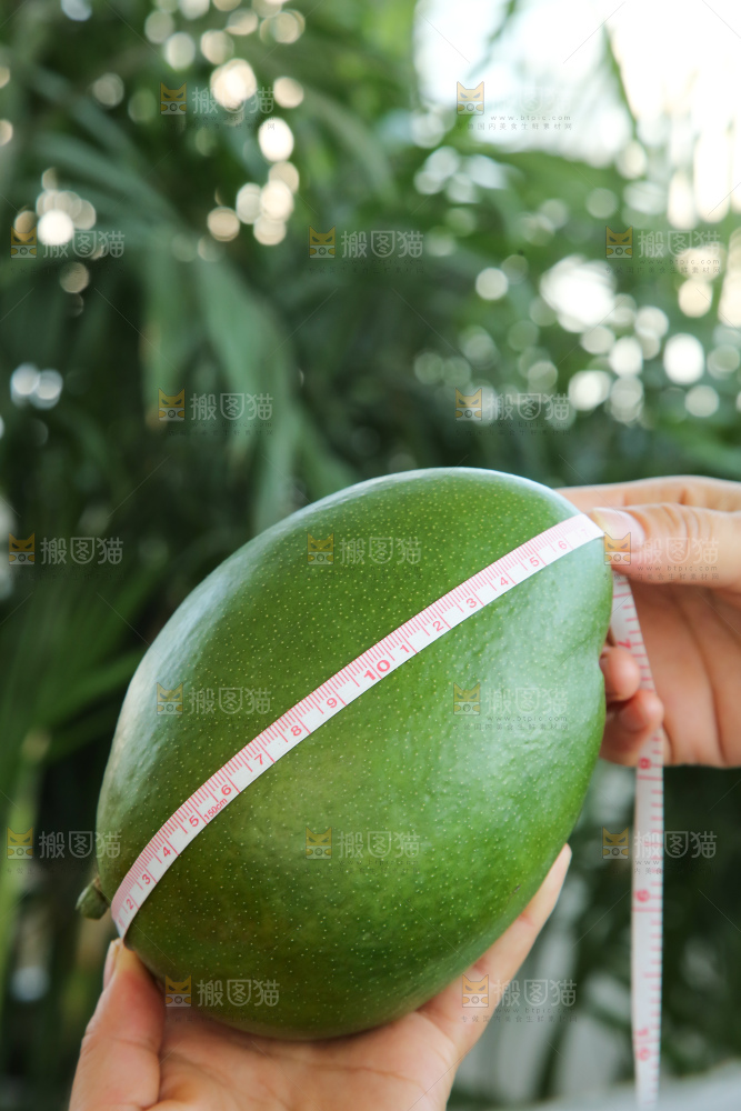 手里拿着凯特芒