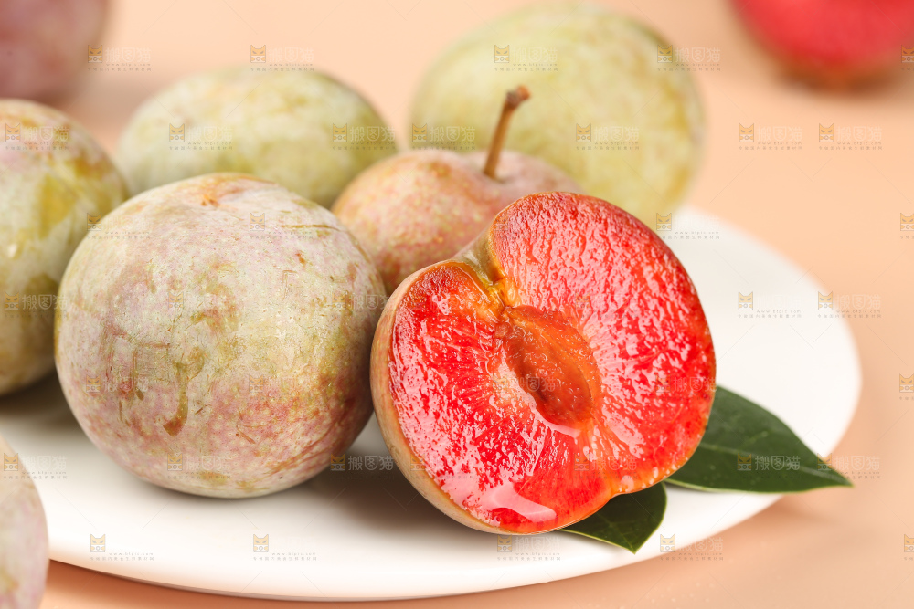 浅底上的芙蓉李