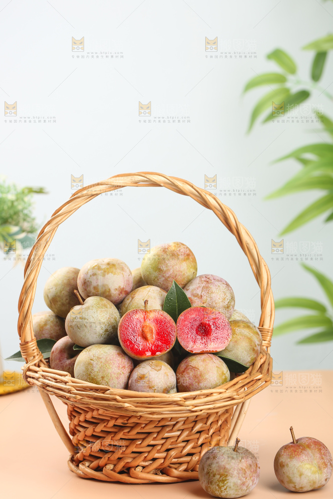 浅底上的芙蓉李