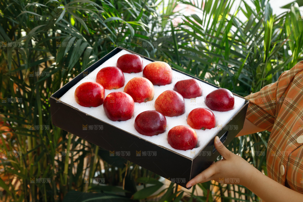 手里拿着红露苹果