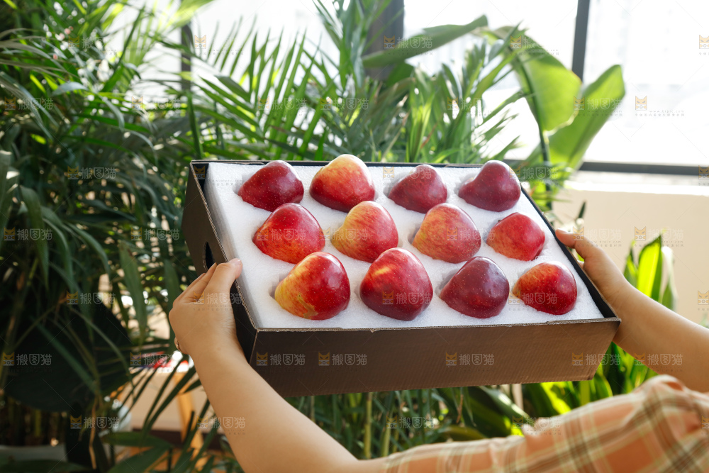 手里拿着红露苹果