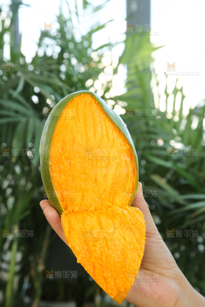 手里拿着凯特芒