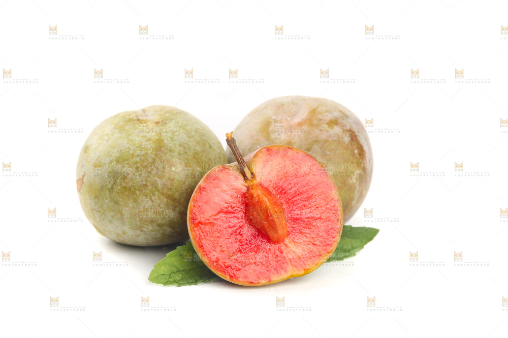 白底上的芙蓉李