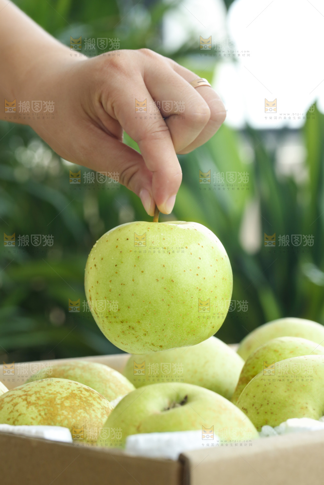 手里拿着金帅青苹果