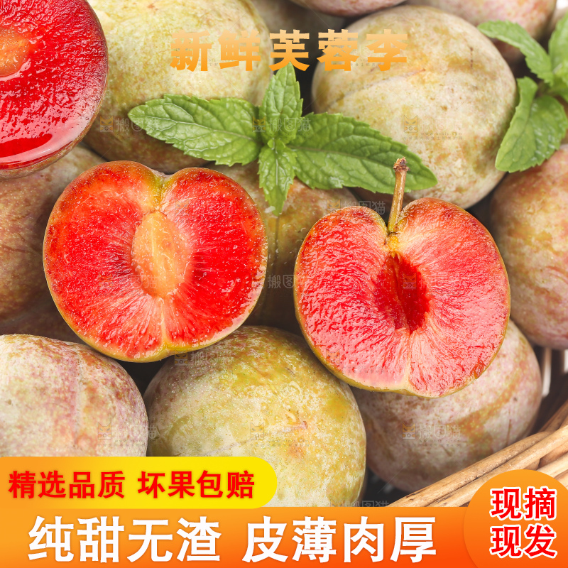 白底上的芙蓉李