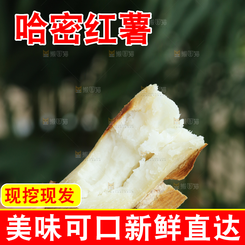 手里拿着白心冰糖薯