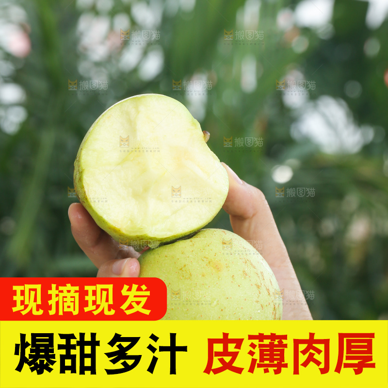 手里拿着金帅青苹果