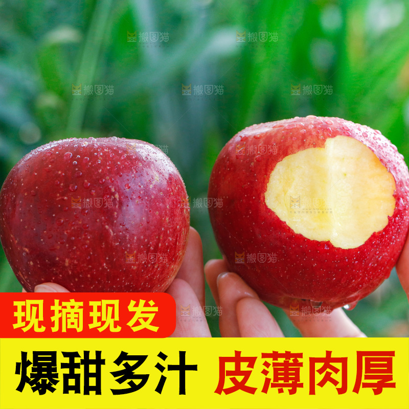 手里拿着红露苹果