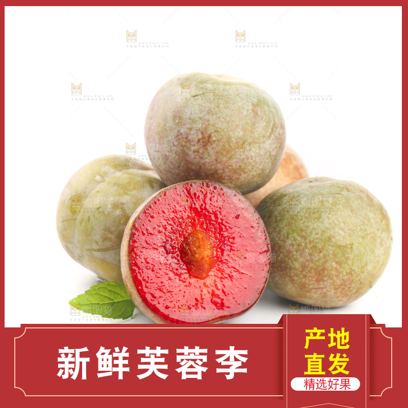白底上的芙蓉李